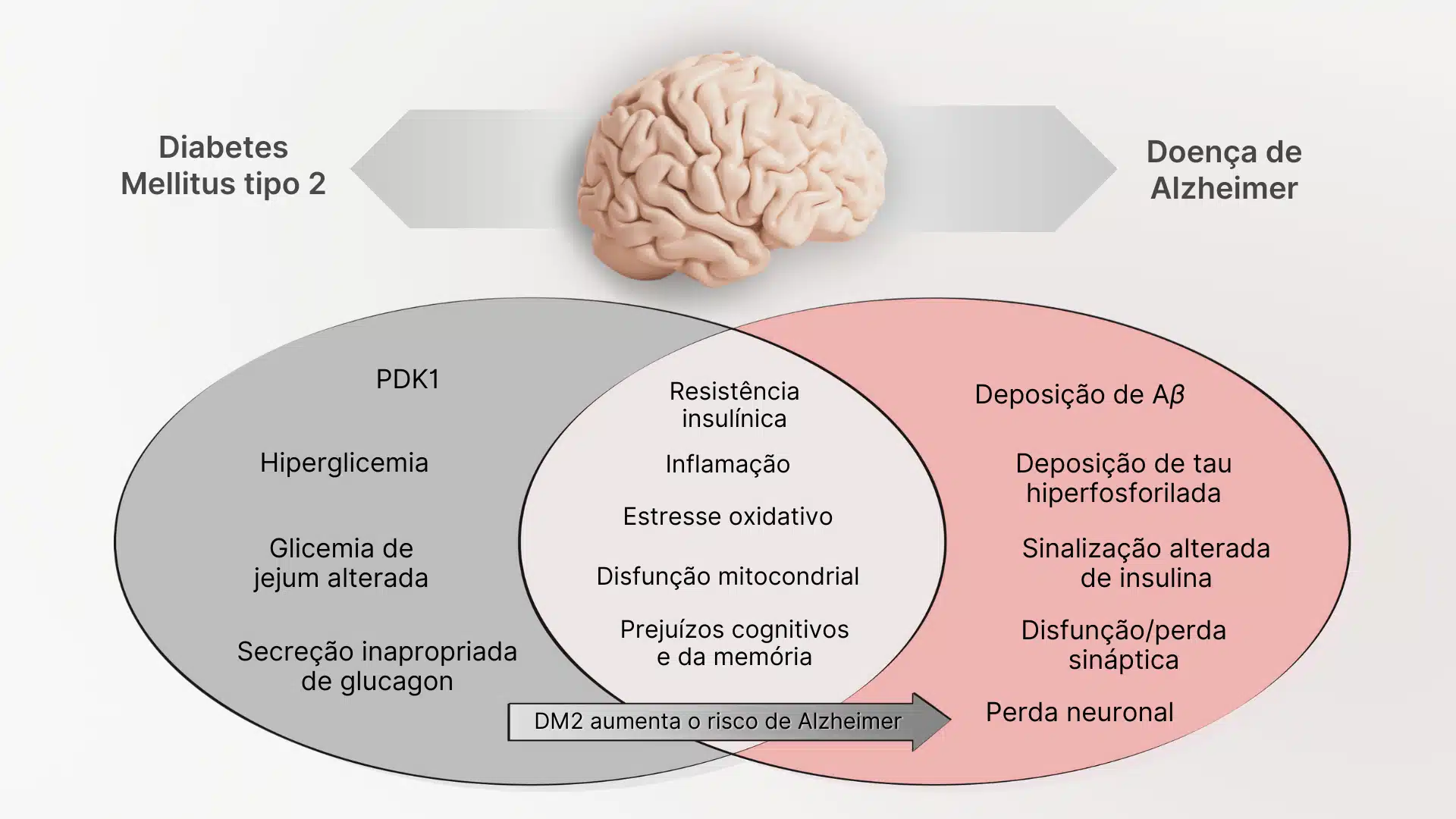 Relação entre diabetes mellitus tipo 2 e Alzheimer