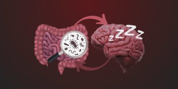 A diversidade de bactérias que habitam o intestino e interferem na qualidade do nosso sono