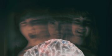 Personalidade: conceito, neurobiologia, transtornos associados e os principais riscos envolvidos