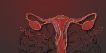 Como a menopausa impacta o cérebro humano?