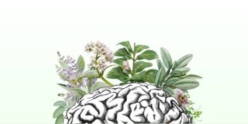 Fitomedicamentos: uma alternativa promissora na prevenção e tratamento de doenças neurodegenerativas