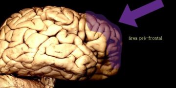 10 verdades sobre a mentira