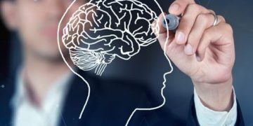 Neurocoaching: noções de neurociência para alcançar objetivos