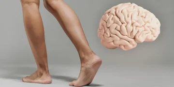 Fortalecer as pernas e o funcionamento do cérebro