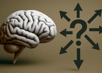 Como o cérebro toma decisões