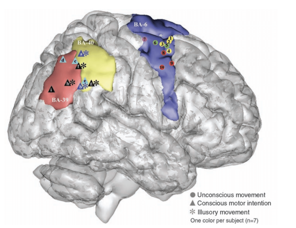 Papel do cortex parietal na intencao do movimento