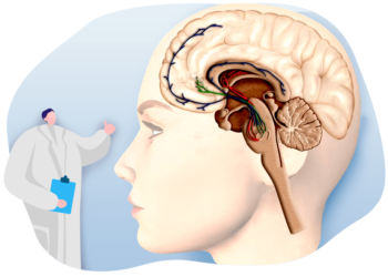 Dopamina e sua função no Sistema de Recompensa Cerebral