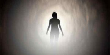 Experiência de quase morte e a relação cérebro mente