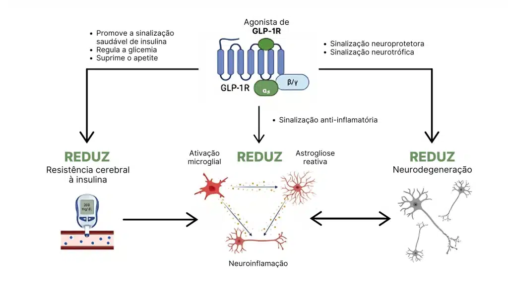 Benefícios neurológicos dos análogos de GLP-1