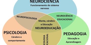 O surgimento da Neuroeducação