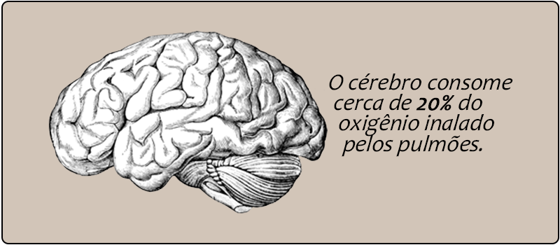 cerebro-oxigenio-desmaio