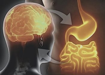 Intestino segundo cerebro