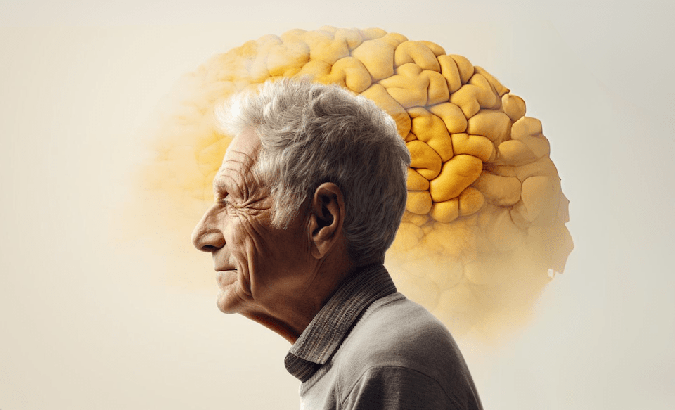 Envelhecimento, estilo de vida e demência