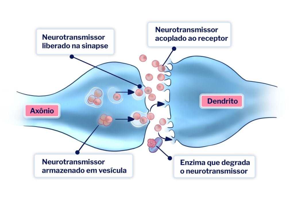 neurotransmissores nas sinapses