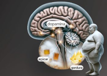 Gordura e açúcar: como esse combo pode produzir uma liberação fásica de dopamina capaz de prejudicar o seu plano de uma dieta saudável