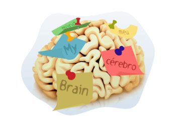 Como não esquecer as palavras