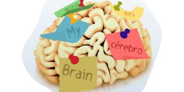 Como não esquecer as palavras