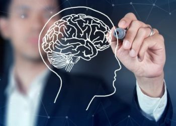 Neurocoaching: noções de neurociência para alcançar objetivos