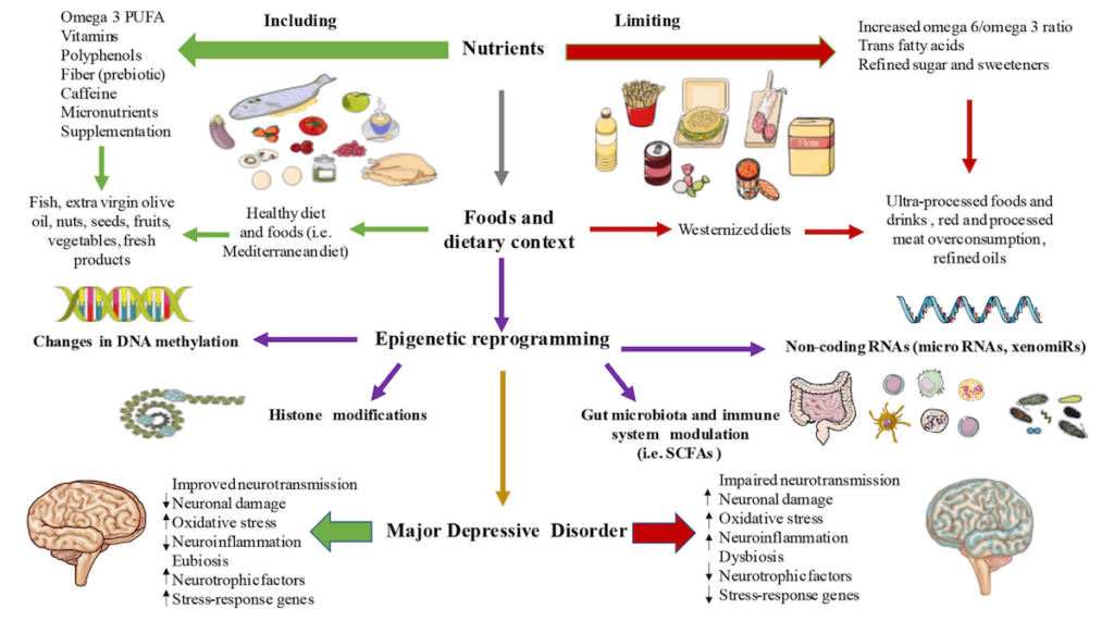 Nutricao epigenetica e depressao