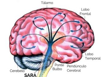 O porteiro da consciência