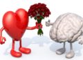 Você está “in love”, “ended love” ou “single”? Entenda como o amor pode estimular o seu cérebro