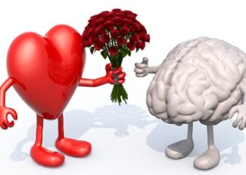 Você está “in love”, “ended love” ou “single”? Entenda como o amor pode estimular o seu cérebro