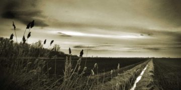 Anedonia: a vida em preto e branco