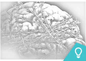 Os 7 pecados capitais e o cérebro