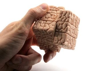 Os períodos sensíveis do desenvolvimento cerebral