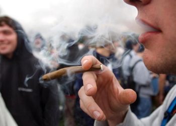 Uso da maconha prejudica a memória de longo prazo em adolescentes; confira o estudo