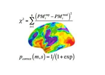 Modelo computacional começa a explicar objetivamente a memória
