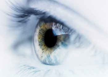 Comunicação pelo olhar: quem não compreende o que os olhos falam…