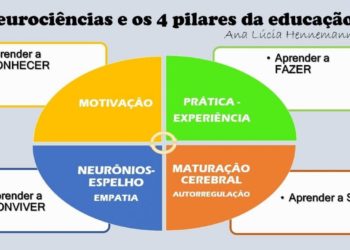 Neurociências e os 4 pilares da educação propostos para o século XXI