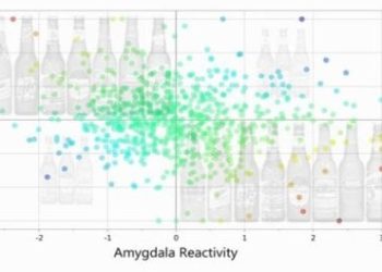 Promiscuidade e problemas com bebida: a atividade cerebral é capaz de prever?