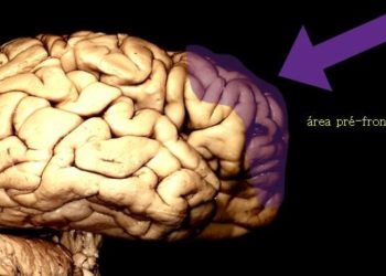 10 verdades sobre a mentira