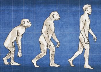 Possíveis vantagens evolutivas das doenças mentais