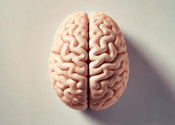 10 curiosidades sobre o cérebro humano fascinantes